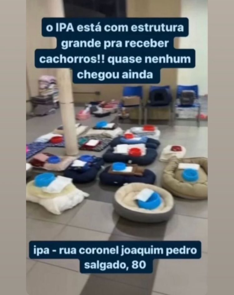 🚨 pessoal de POA que está resgatando animais, IPA está pronta para recebê-los 🚨

eles também precisam de ajuda, sentem medo, fome e frio, repassem!!! 

@ora_eu @LedioLegal 🚨🚨