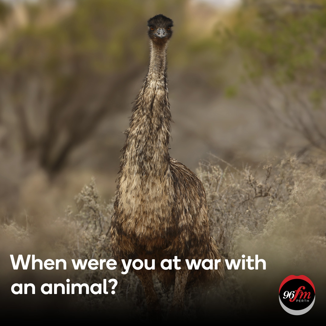 We opened the phones this morning after chatting about WA's Great Emu War of 1932 that we... well... lost 😬 😅  | 🎧  Listen here! >> bit.ly/4adfK9P #clairsyandlisa