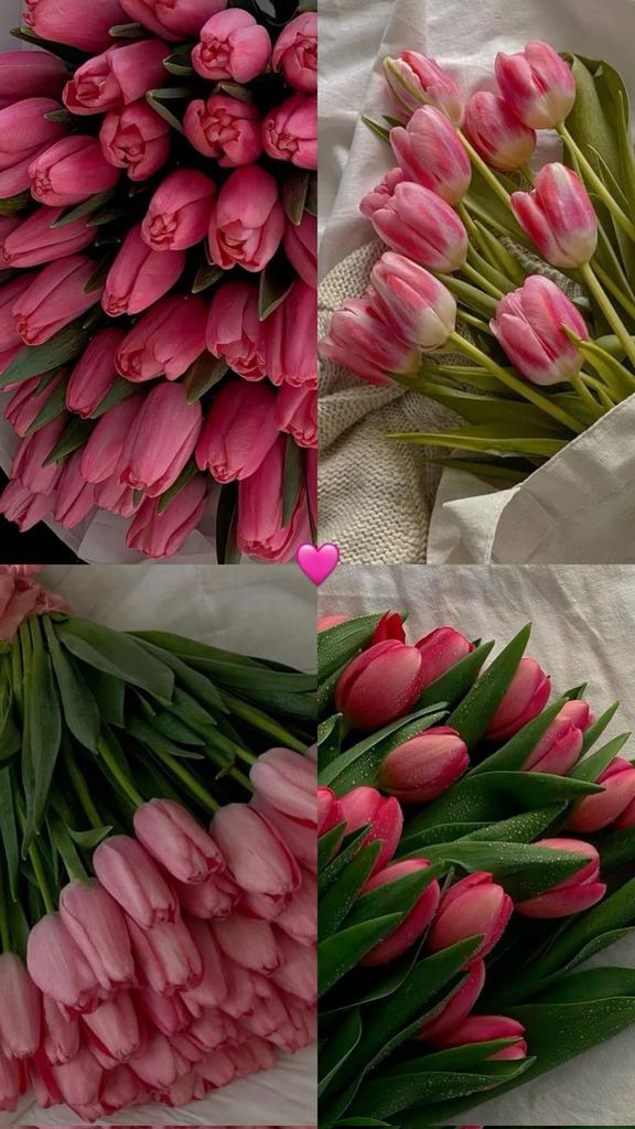 Collage of pink and red beauties