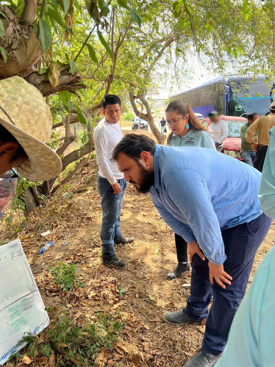 BusquedaOaxaca's tweet photo. Como parte de las acciones de búsqueda inmediata, el día de hoy, la titular de la Comisión Estatal de Búsqueda de Personas Oaxaca, Michel Julián López, y su equipo interdisciplinario, desplegó acciones de búsqueda en el Municipio de Santa María Colotepec, Oaxaca.
#CEBPEO https://t.co/JYtpCbJjMK