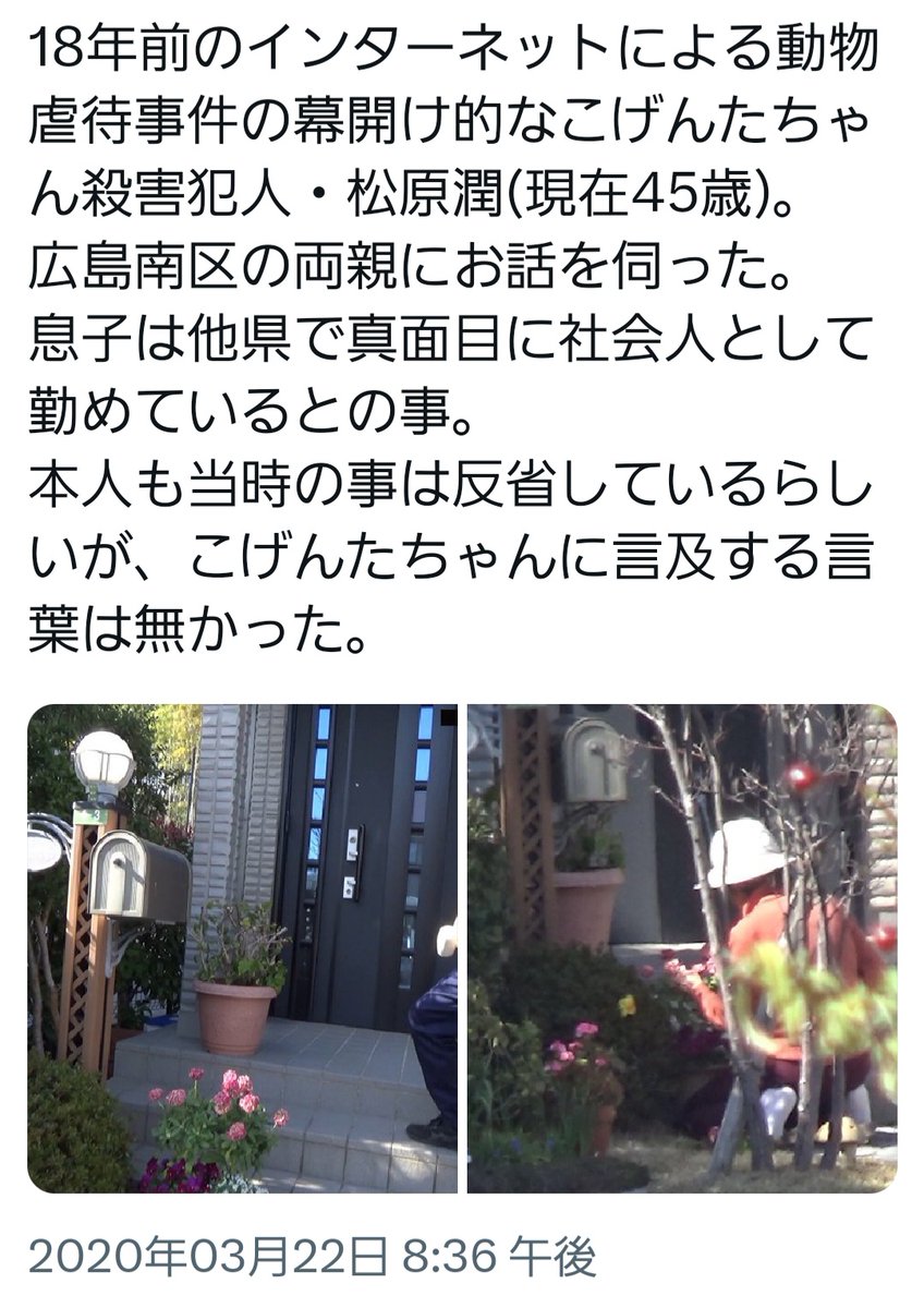 center island センターアイランドoutlaw tweet media