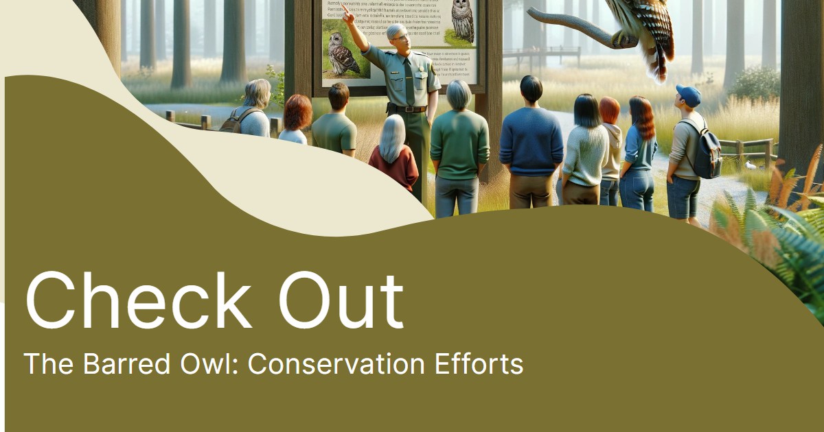 Saving the Barred Owl: Watch our video on the conservation efforts ensuring the future of these forest dwellers. 

youtu.be/eFvRSHSTHrU

#birding #birdwatching #birdwatchers