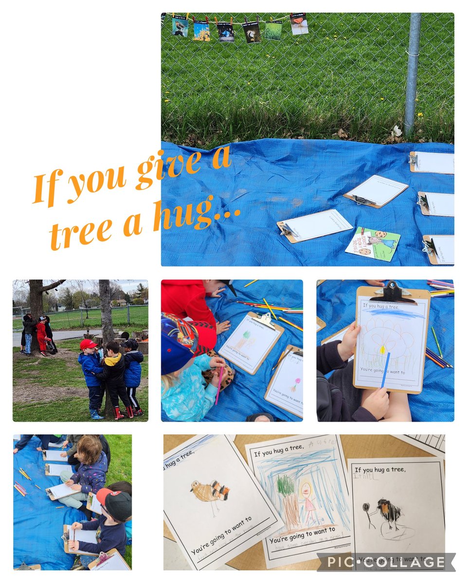 If you give a tree a hug...
We co-created a nature story inspired by 'If you give a mouse a cookie', and it was so much fun! Nature-love, literacy, collaboration, fresh air ~ all the things! 🌳 💚 #kindergarten #outdoorclassroom @BayridgePS_LDSB