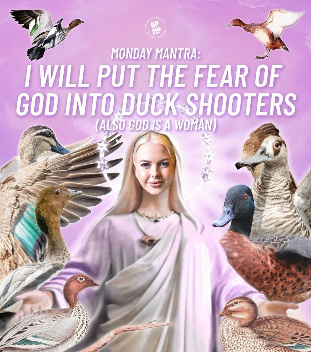 'Happy Monday to my friends, but especially my enemies (duck shooters).' - @georgievpurcell