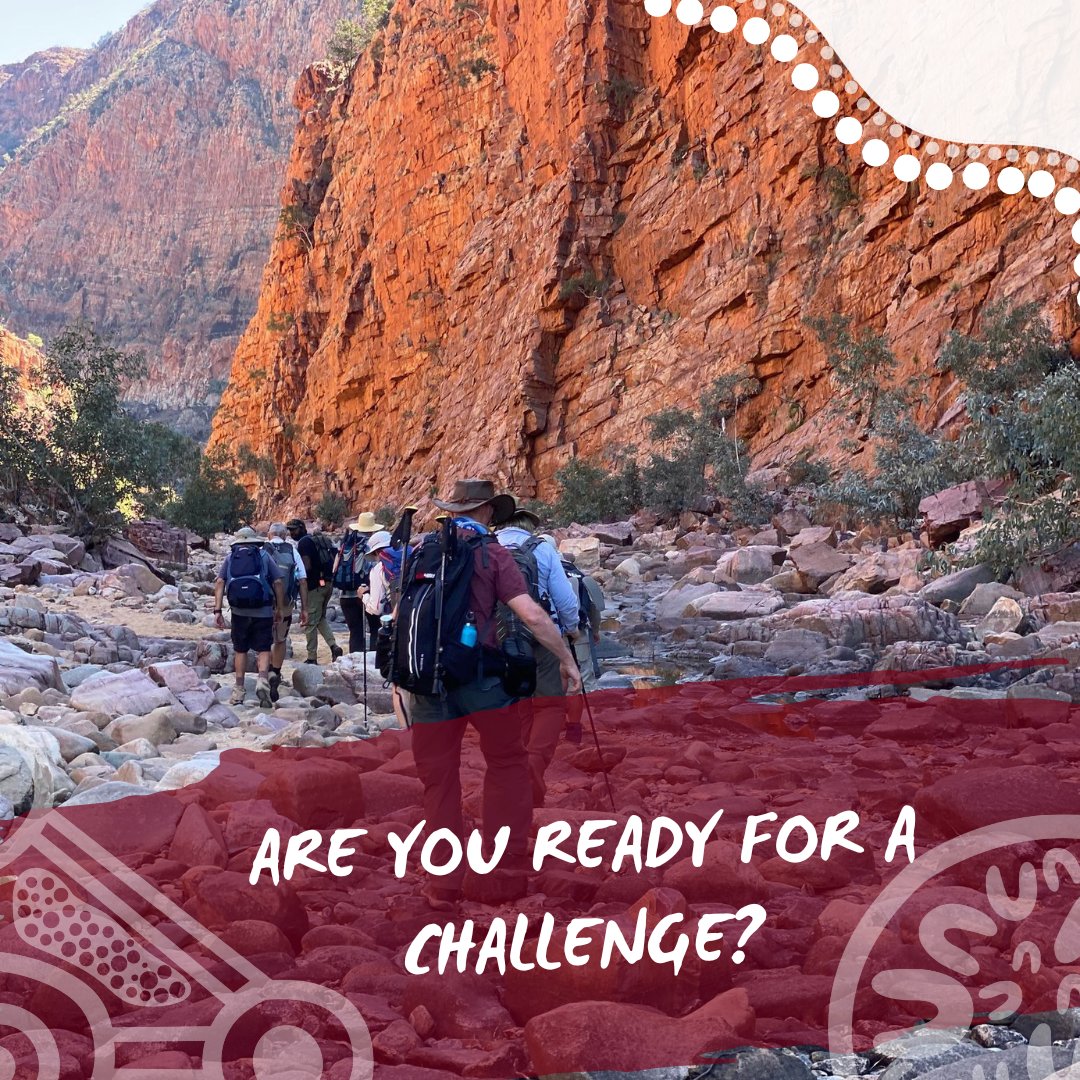 Ellen tackled the #LarapintaTrek alongside us! From cultural insights to unexpected challenges, this trek had it all. Explore #CentralAustralia through Ellen’s captivating story and discover why this should be your next adventure! ow.ly/VUBn50RwYkh
#AdventureCalling