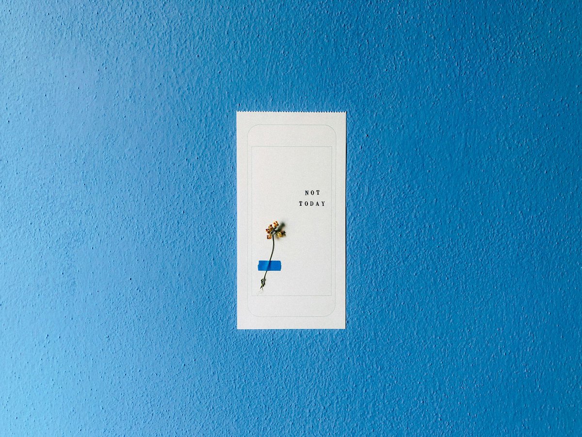 NgoRaEvents's tweet image. 💙