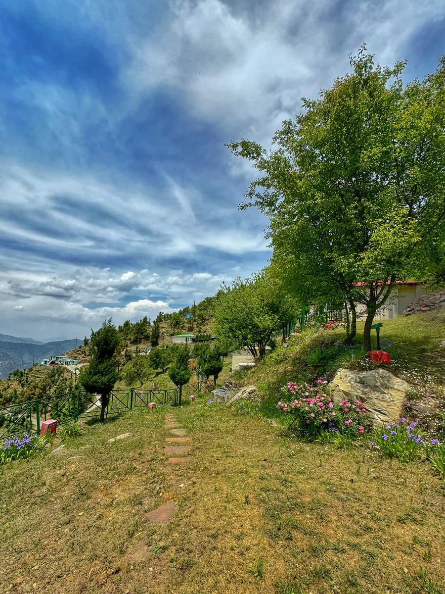 𝗦𝗲𝗿𝗲𝗻𝗲 𝗯𝗲𝗮𝘂𝘁𝘆...

#goodmorning 🌄🍀🐦 #Pals 💕
Wishing you a tranquil #Monday
Warm regards 🌲🌹🙏

#IncredibleIndia 🇮🇳- Beautiful view a popular tourist destination Jwarna on Mussoorie - Chamba Road, Kanatal in Tehri Garhwal district of #देवभूमि #Uttarakhand...