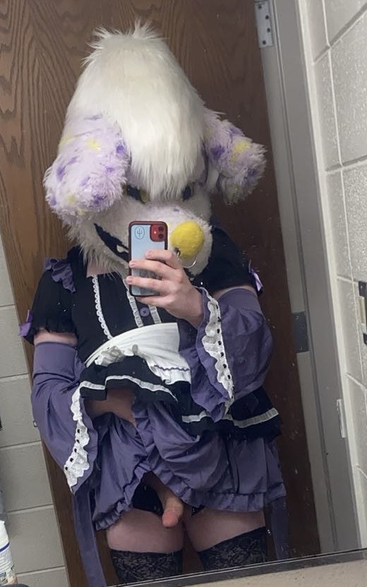 Zhan’s Fuzzballz 🔞 tweet media