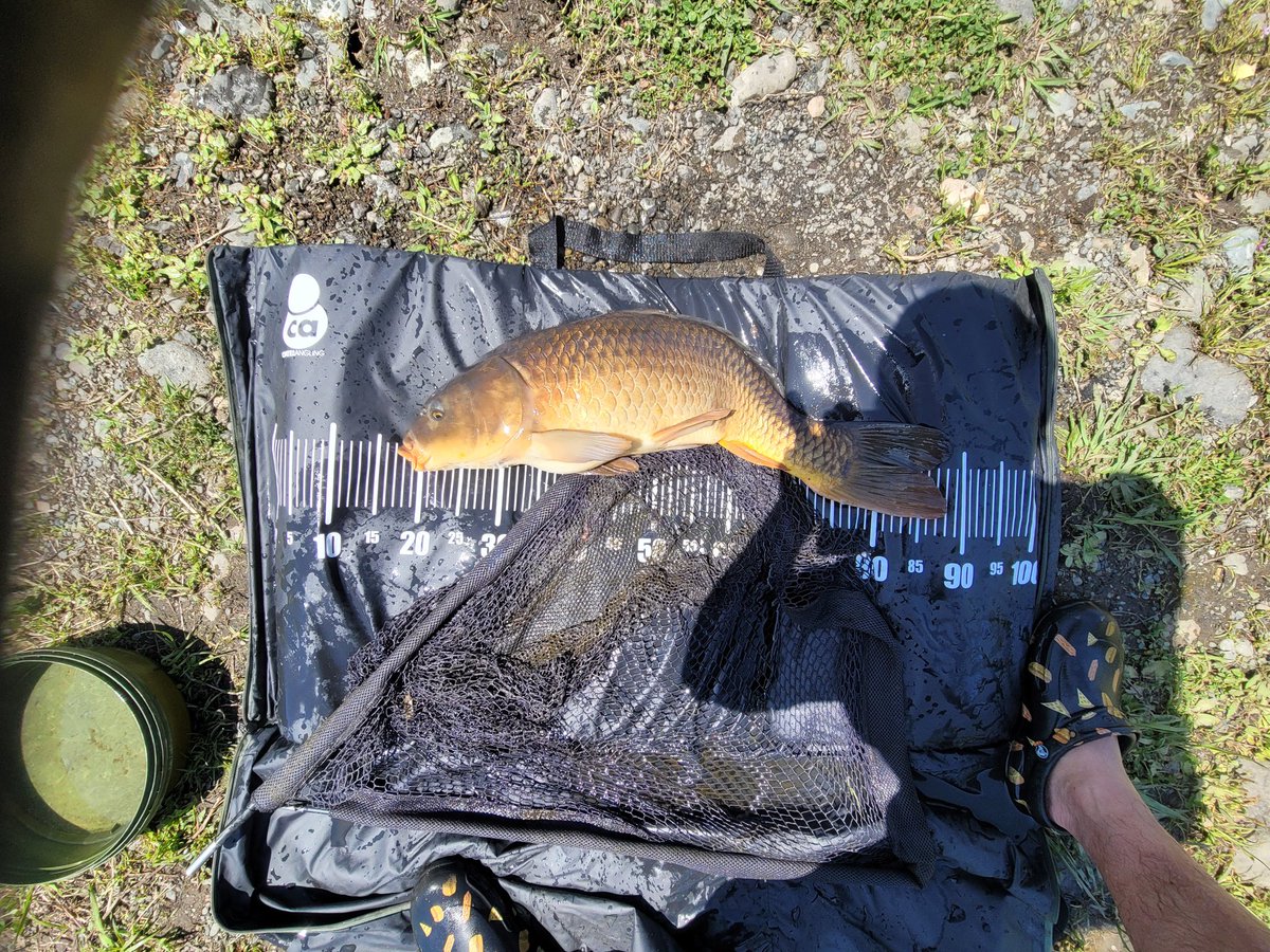 GWの釣りキャン終了～✌️
３日で３本笑笑

相変わらず下手っぴw
釣れてくれて感謝🎶
楽しかった～👍️