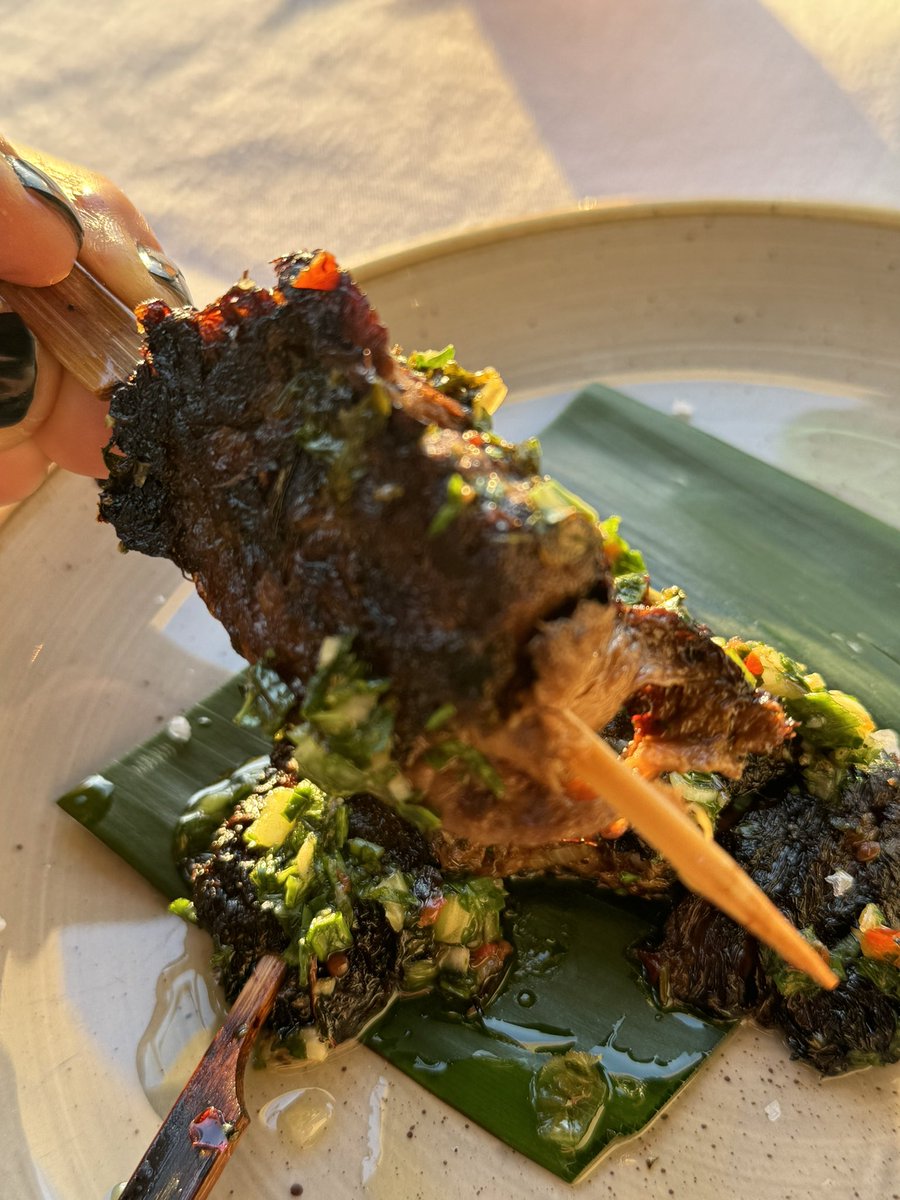 Lion’s mane mushroom skewers with chimichurri. SO FUCKING DELICIOUS. Lion’s mane also makes amazing seared steak. Great for brain health, cognition. Very meaty texture. Enamoured. 😍🌱