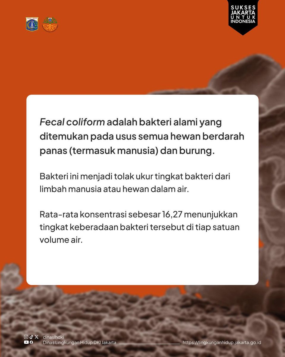 Tahukah kamu? Terdapat tiga (3) pencemar utama yang mencemari kualitas air sungai di Jakarta, yaitu Fecal Coliform, Total Coliform, dan Amoniak. Untuk tahu lebih lengkap tentang tiga pencemar utama air sungai ini bisa cek di infografis di post ini ya!