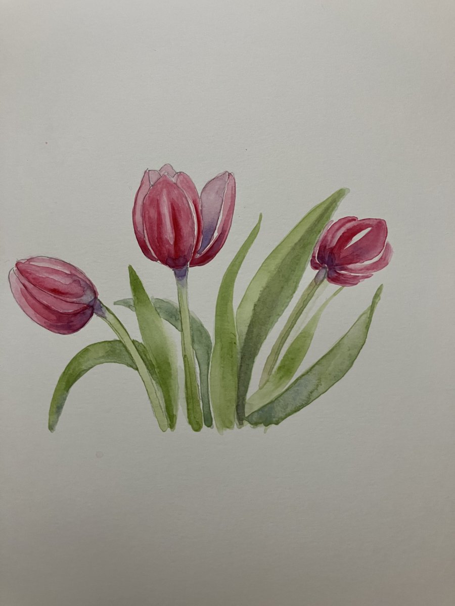 JanetVaneerden's tweet image. Online Watercolor Tulips class for Christendom College students study break is in the books! 

So much fun! There is no shortage of creativity for these ladies! #artconnects #winsornewton #studybreak