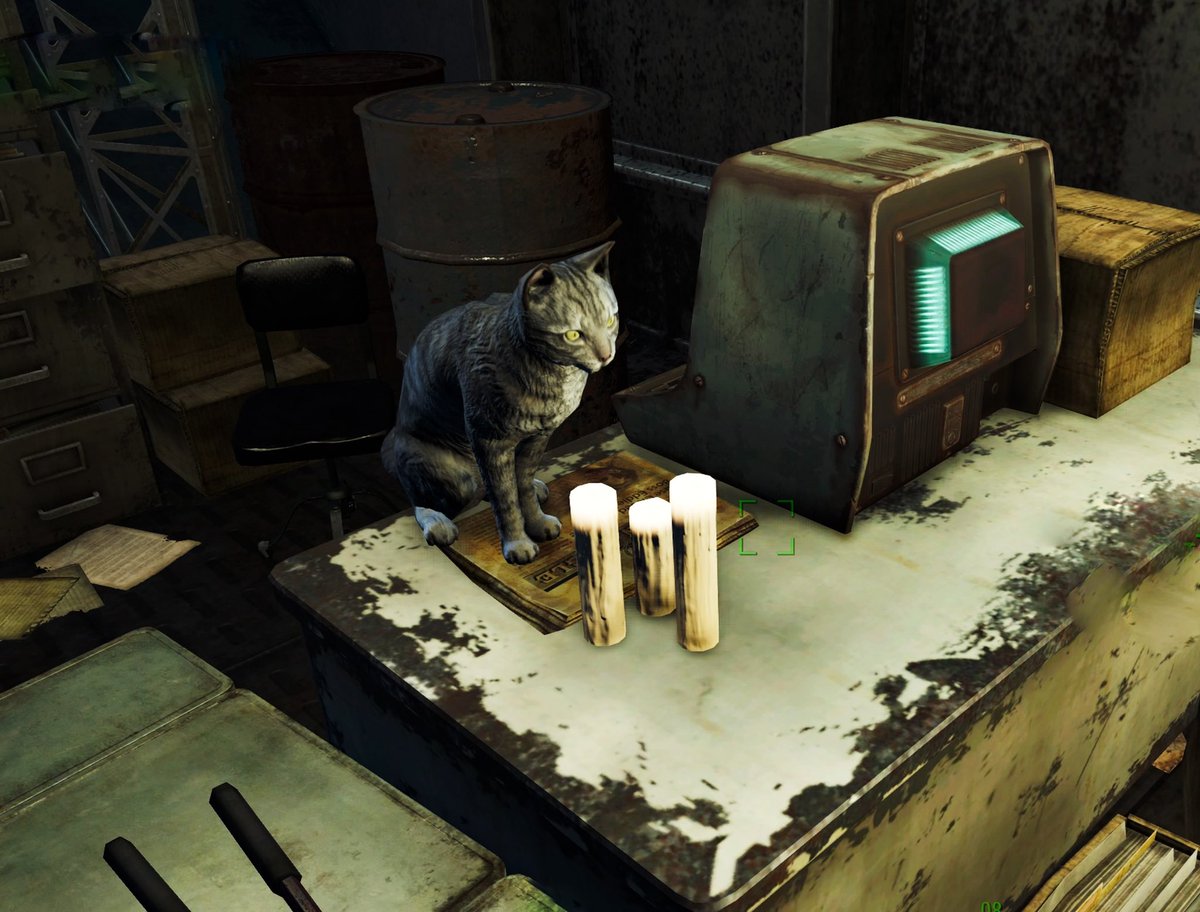 🐈 #Fallout4 #PS4 #GameCapture #AnimalMonday
