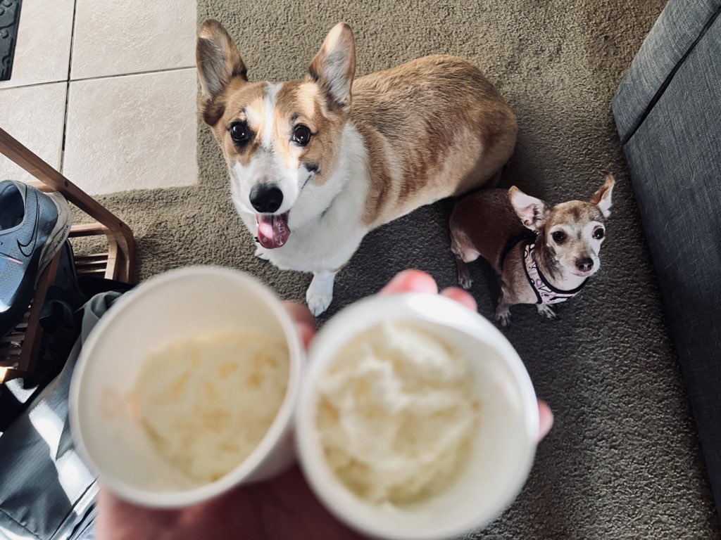 Happy Sunday, pals! Today was #SundayFunday and we went to the park! We met some friendly pups, one of them was super duper friendly with mom and dad 😂 But my sis and I behaved so afterwards we got pup cups! Yayy!!🍦And a happy #CincoDeMayo to those who celebrate! 🇲🇽🌮💃🏽