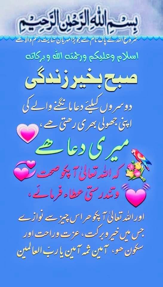 🌹🏵🥀🪷🌼🌴🌲🌳☘️🌿🌱🌹🏵🪷🌼🪴🍀🥀🌹🌹🌹🥀🏵صباح الخیر 🌹🥀🏵