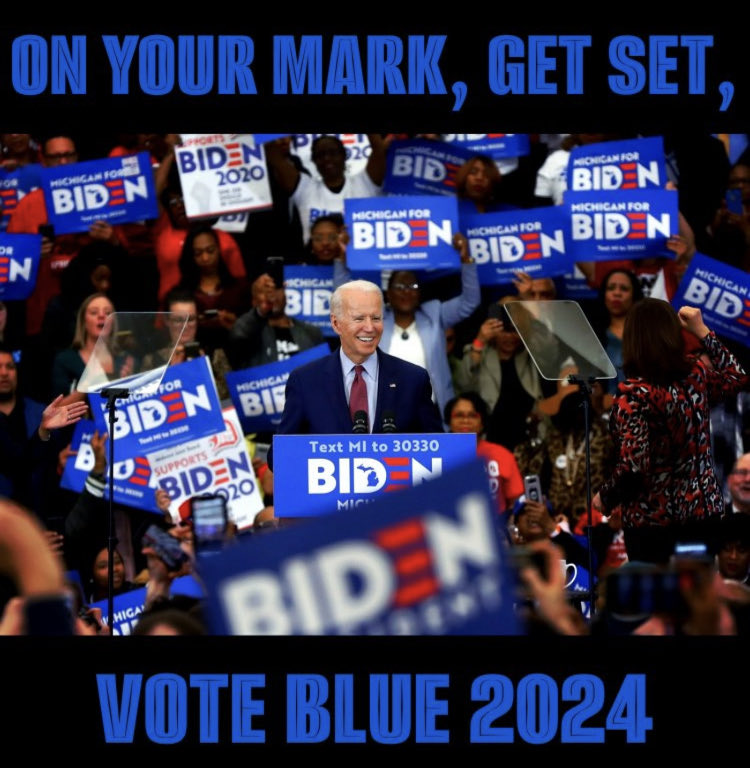 Vote Blue 2024 🌊🌊🌊🌊🌊