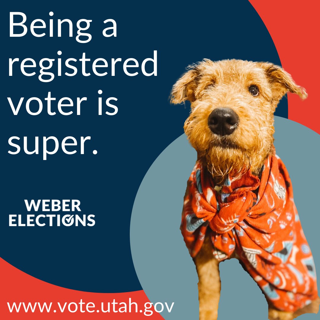 Being a registered voter is super: vote.utah.gov

#dogmemes #voterregistration #weberelections