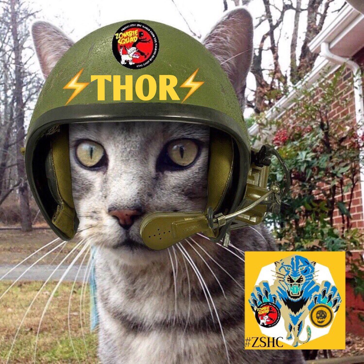 @ZombieSquadHQ @MuddlesDog @RhondaHendee @TheCatMalice @CancerDoggy Congratulations #ZSHQ Soldiers on your individual Founders Day Promotions! Special shout-out to my fellow Legacy Members, who have been awarded the rank of their #OTRB predecessors. I proudly take the rank of my beloved mentor, Rear Admiral Thor. ~ Rear Adm. Sabine