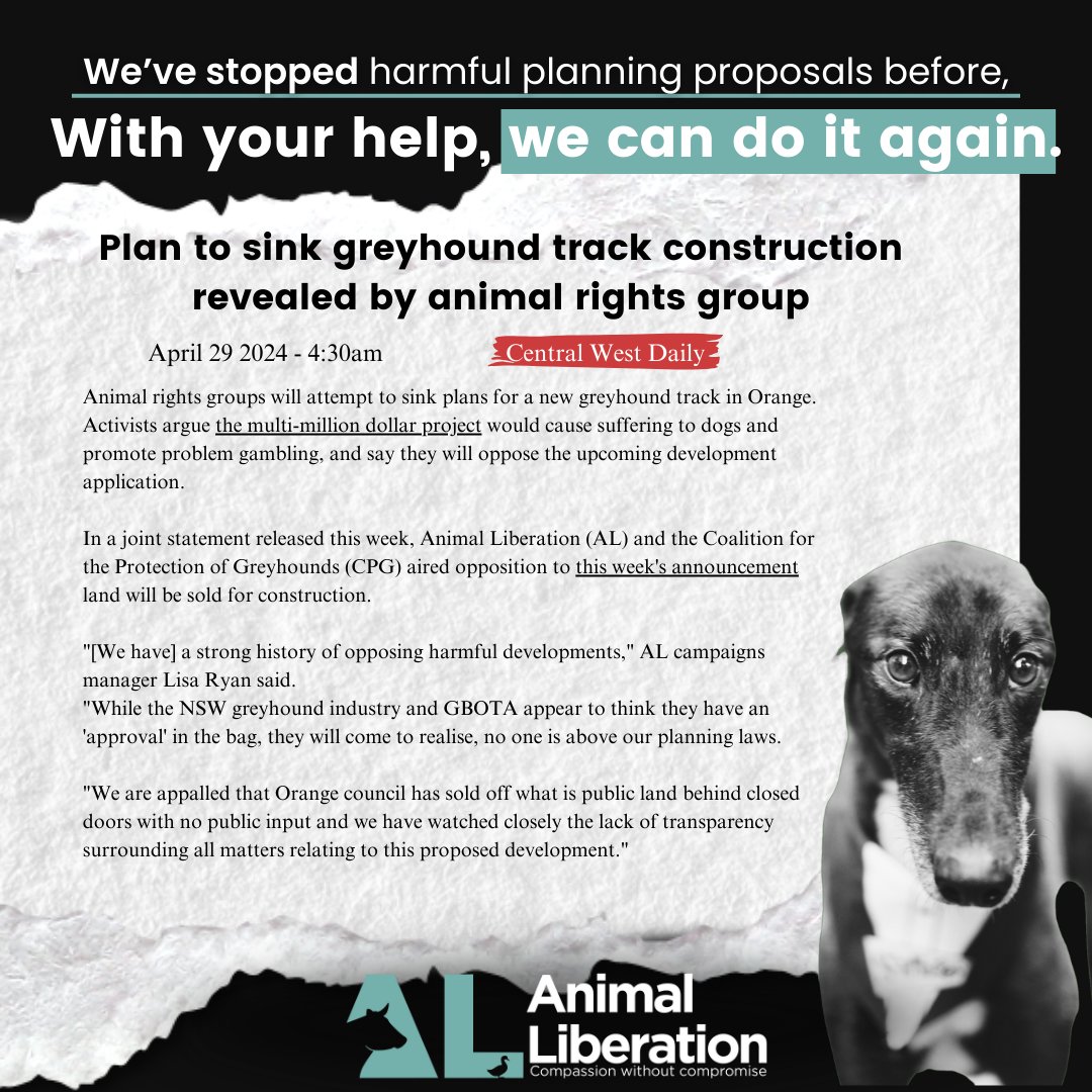 We’ve stopped animal harming planning proposals before, and with your help, we can do it again.

Add your name here: al.org.au/pledge/animals… to join us and stay up to date and learn how you can help to oppose the proposed large-scale Orange greyhound death track.