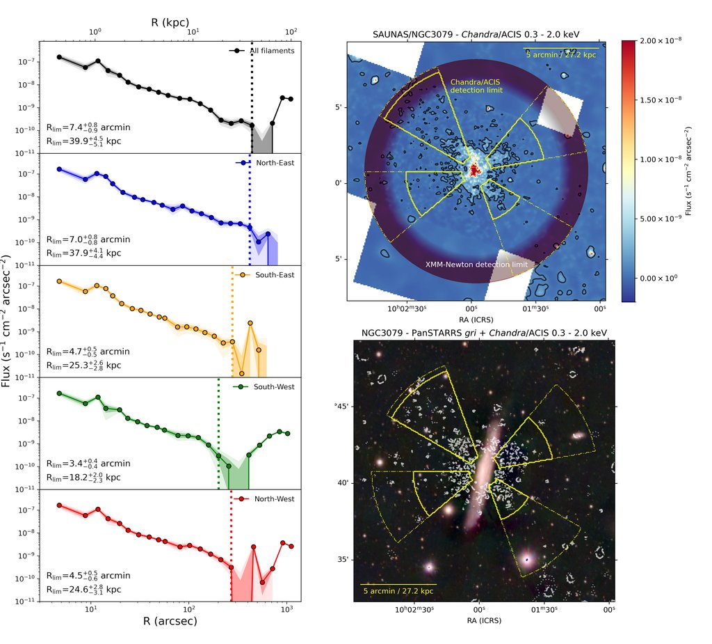 SAUNAS I: Searching for Low Surface Brightness X-ray Emission with Chandra/ACIS. Alejandro S. Borlaff et. al. arxiv.org/abs/2405.01625