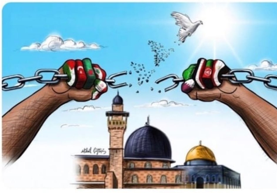 Seni yok sayacaklar sen, daha çok var olacaksın🤲 #FilistinBizimDavamız #GazzeDirenişi #Gazze #GazzedeKatli̇amVar