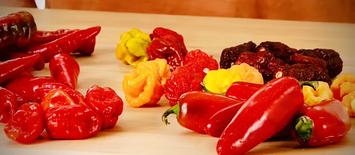 'Pepper X' Creator King Ed Currie🌶️ 
10 Hottest Peppers🔥

youtu.be/9Pd_9RuUY8U?fe… via @YouTube🔥 

#CarolinaReaper #RealHotSauce 
#HotPeppers🌶️#PepperX 
#HotOnes☠️#RealHotSauce 
@UncleCreepy🔥