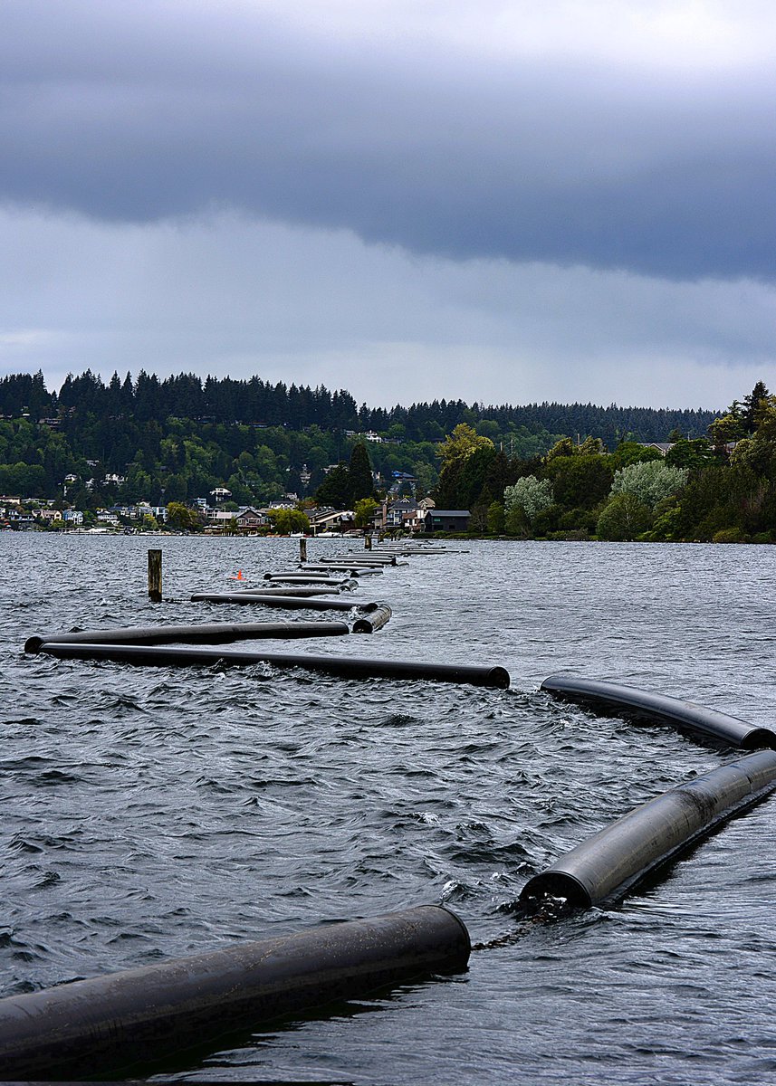 Spotted a pattern of the sky, land, and the sea (?) on our way back to #road #trip 😊 ZIGZAG #Coulon #beach #park #cloudy #day #waterfront #view #nature #Nikon #photography #study #PhotographyIsArt #ArtIsMyTherapy