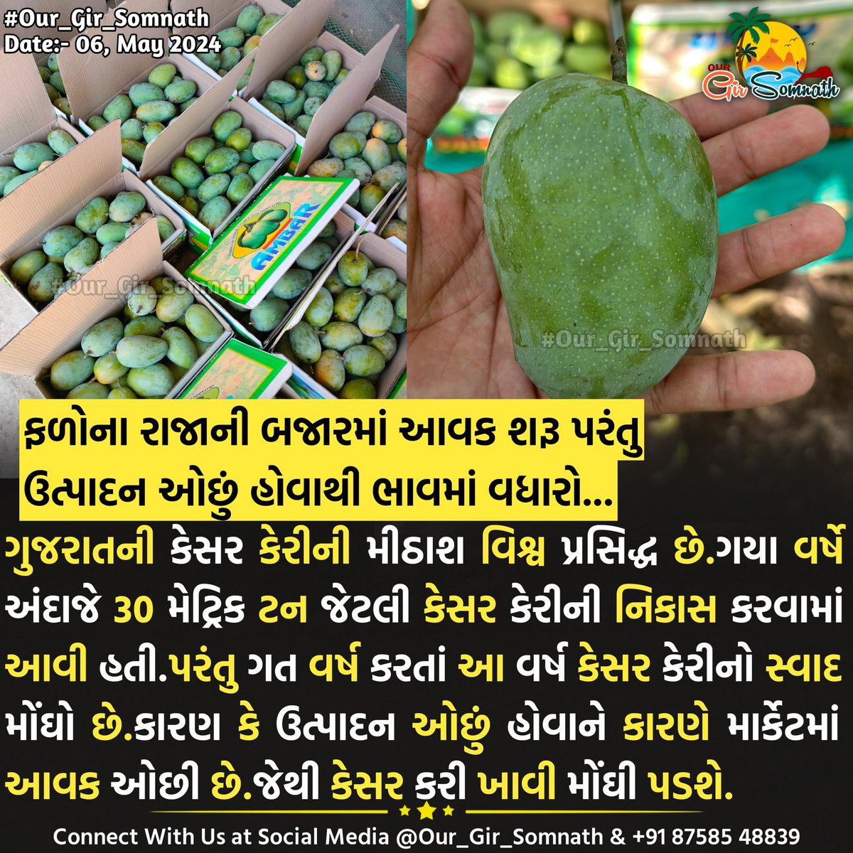 ફળોના રાજાની બજારમાં આવક શરૂ પરંતુ ઉત્પાદન ઓછું હોવાથી ભાવમાં વધારો...

#our_gir_somnath #our_amdavadcity #our_junaagadh #talala #mango #kesarkeri