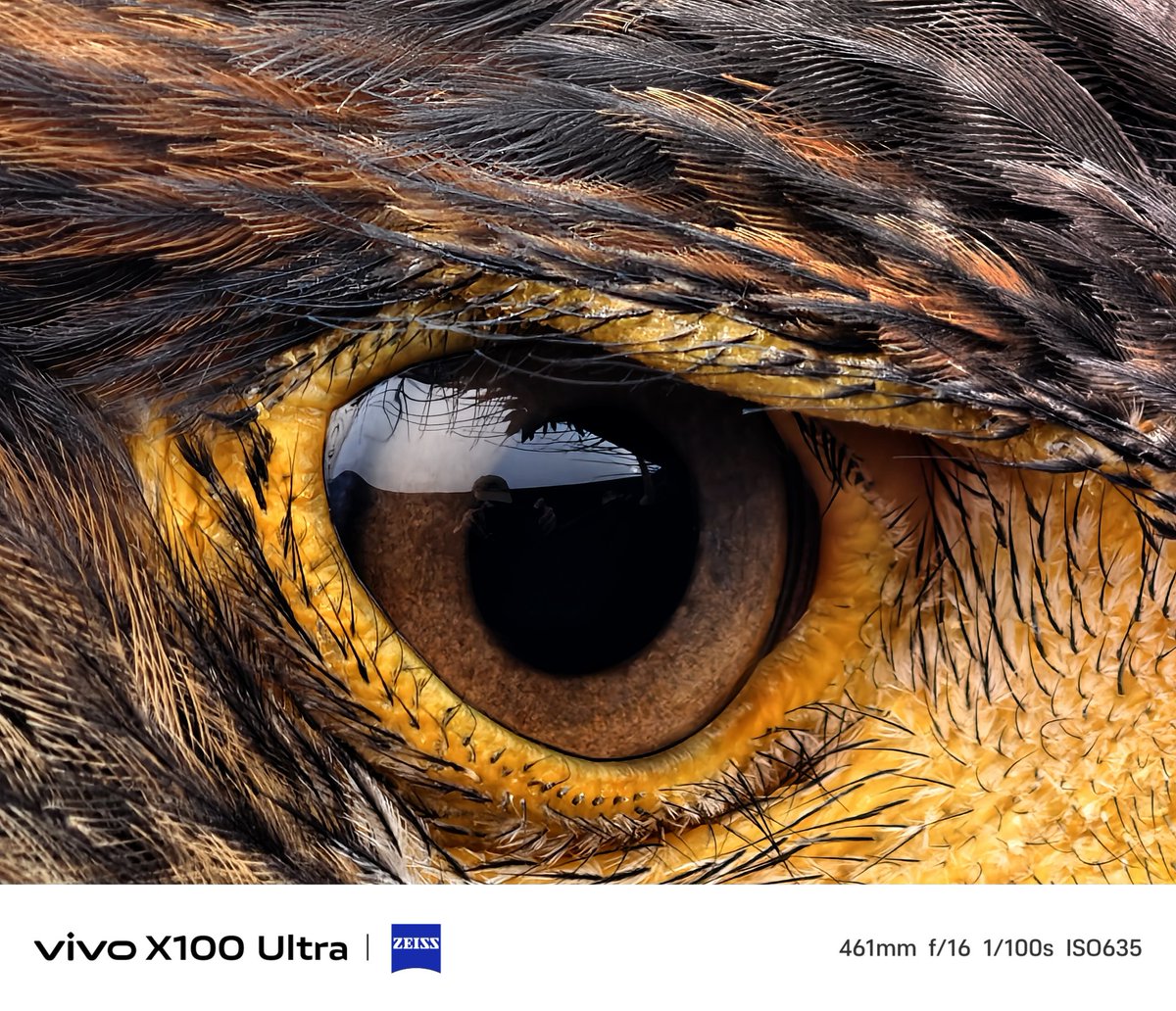 VIVO X100 Ultra Camera Results

50MP LYT900 1/0.98' OIS + CIPA 4.5 Gimbal Stabilization

200MP ISOCELL HP9 1/1.4' Ultra Periscope Telephoto
50MP SONY LYT600 1/1.95' Ultra-wide

Coupled with Blue Image, Zeiss T* & VIVO V3+ ISP Chip Imaging (6nm TSMC)
