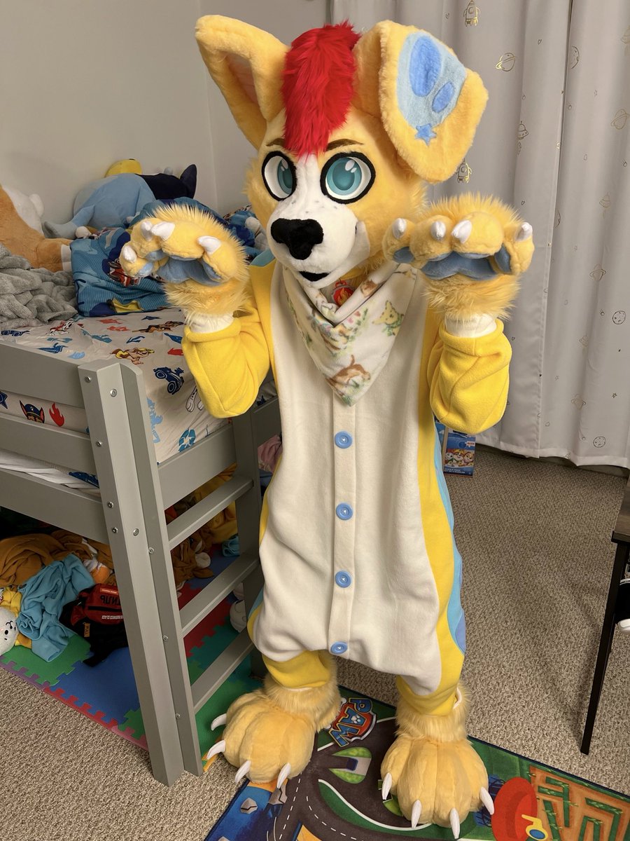 Rawr! Corgi kigu is real!