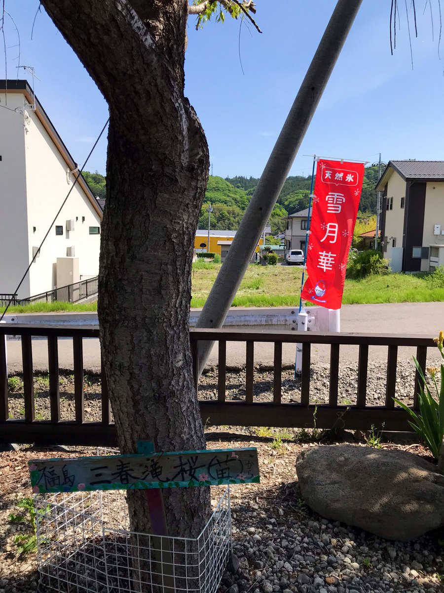 栃木県宇都宮市
かき氷専門店🍧雪月華⛄️
ぶどう入り🍇シャインマスカットモンブラン（小）

昨日のデザートはGW中3度目の『雪月華』さんへ🚗➰

整理券配布があっという間に終了してしまう人気ぶり😲

わたくし的ランキング上位のメニュー✨

超絶旨い‼️

🐴🐴👌🍧🍇‼️