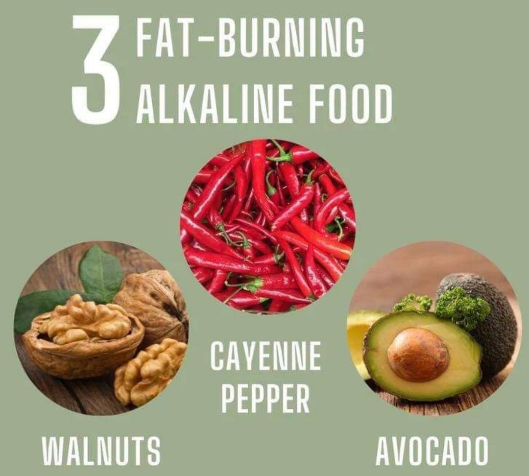 Fat burning foods 🌶️🥑#alkaline #vegan #alkalinediet #alkalinevegan #plantbased #healthiswealth #detox #herbalmedicine #health #organic #healthylifestyle #alkalineliving   #naturalmedicine #naturalremedy #Health #healthcare #HealthyLiving #HealthTips #healthy