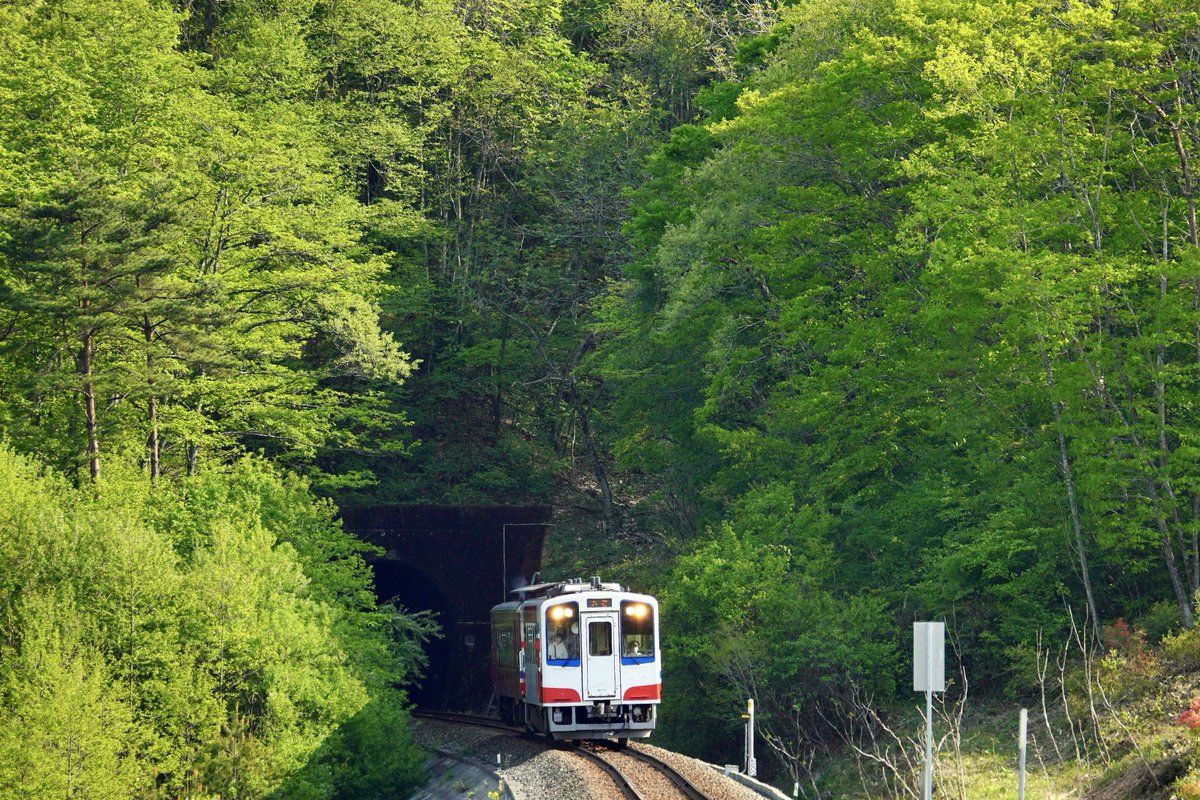 生き生きとした新芽の淡い緑色に彩られる🌱

#三陸鉄道　#三陸鉄道リアス線　#三鉄　 #さんてつ　#岩手　#岩手県
#japan  #iwate  #sanriku  #sanrikurailway  #railway