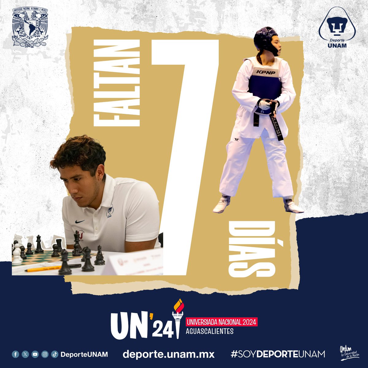 DeporteUNAM's tweet image. 🐾✨Faltan 7 días para que nuestro contingente #Puma inicie su participación en la #UniversiadaNacional 2024  👏🏼🔝 

#SoyDeporteUNAM