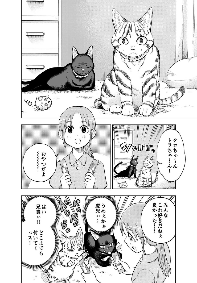 野良猫と家猫の話です (2/2)
#創作漫画
#漫画が読めるハッシュタグ 