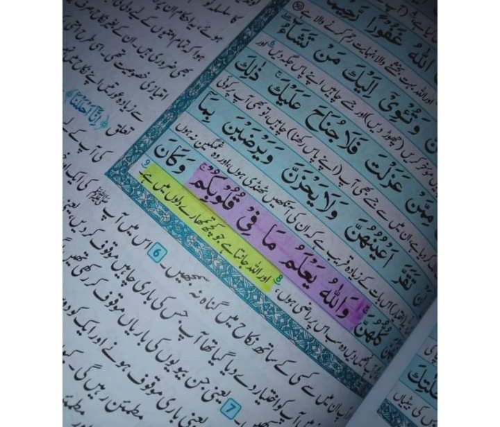 sumira358's tweet photo. اور اللہ جانتا ہے جو کچھ تمھارے دلوں میں ہے 💜✨
#_Beshak💯🦋 https://t.co/um9yiKjRss