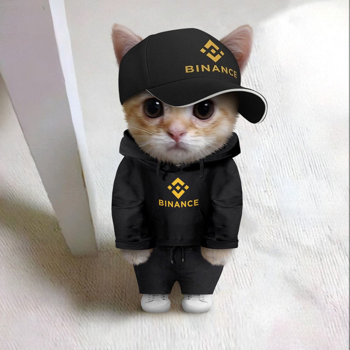 Which level 1 exchange will #catcoin be listed on next? Please follow me.