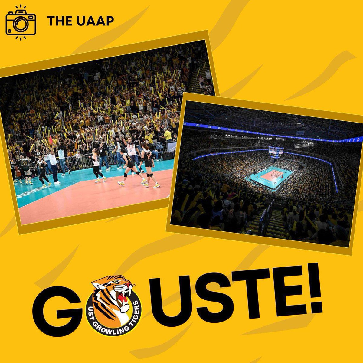 UST COMMUNITY, we dominated the crowd yesterday, because of you! ✅ 5,700 Yellow Clappers ✅ 900 Balloon Tiger Headbands ✅ 500 “GO USTE” Banners ✅ GO USTE Placards Next: MVT’s FINALS TICKET WVT’s Championship Again, maraming salamat at UST BAYANIHAN ulit. #goUSTe 💛🐯