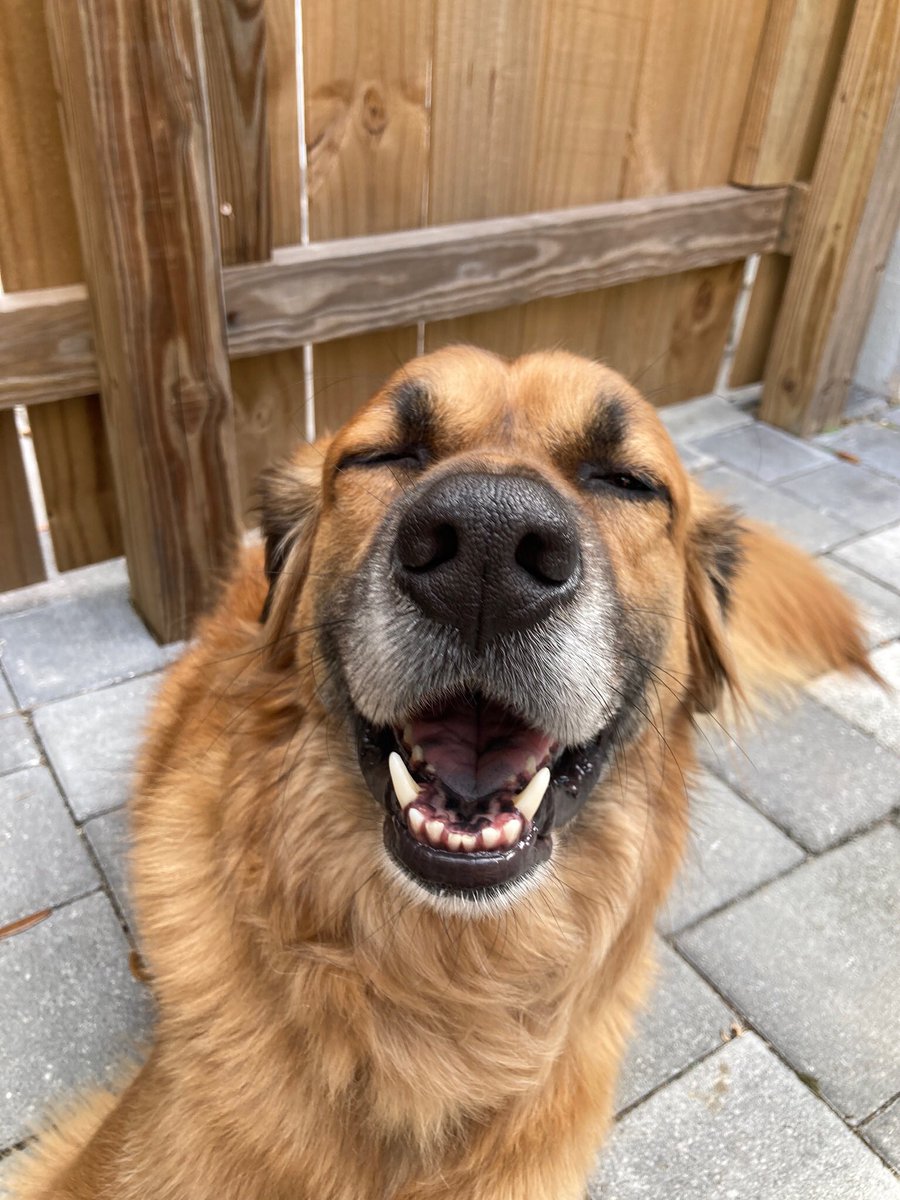 nelly ☮️ tweet media