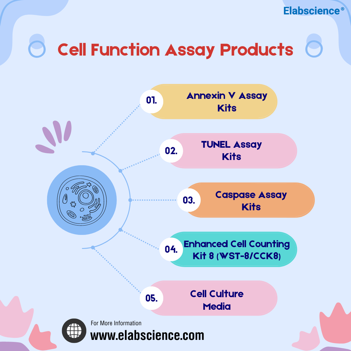 👨‍🔬 👩‍🔬 Are you ready to revolutionize your cell culture experiments? Hope the following set of products to take your research to new heights! 
👉 elabscience.com/Products-cell_…
👉 elabscience.com/Products-cell_…

#CellApoptosis #FlowCytometry #TUNEL #DMEM #Research #CellCulture #CellBiology