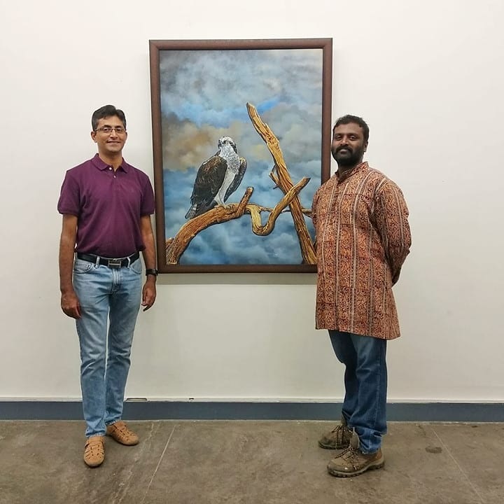 Osprey from Bhadra Tiger Reserve.
#IndiAves #oilpainting #painting #TwitterNatureCommunity #naturalhistoryillustration #art #ArtistOnX #indianartist #Bengaluru #Karnataka #birds #birdtwitter