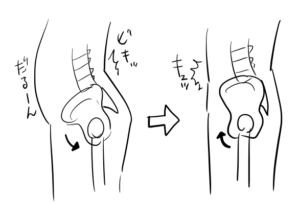 長年腰痛に悩んできたけどようやく原因が分かった気がする。反り腰というやつで、腰がくの字に反った状態で背筋(腰)だけで腰を支えてるから筋肉が疲れてしまう。
立ちションするような感じで骨盤を起こしたらすごく楽になった。この姿勢だと自然と腹筋が使われて腰の緊張がとれる。 