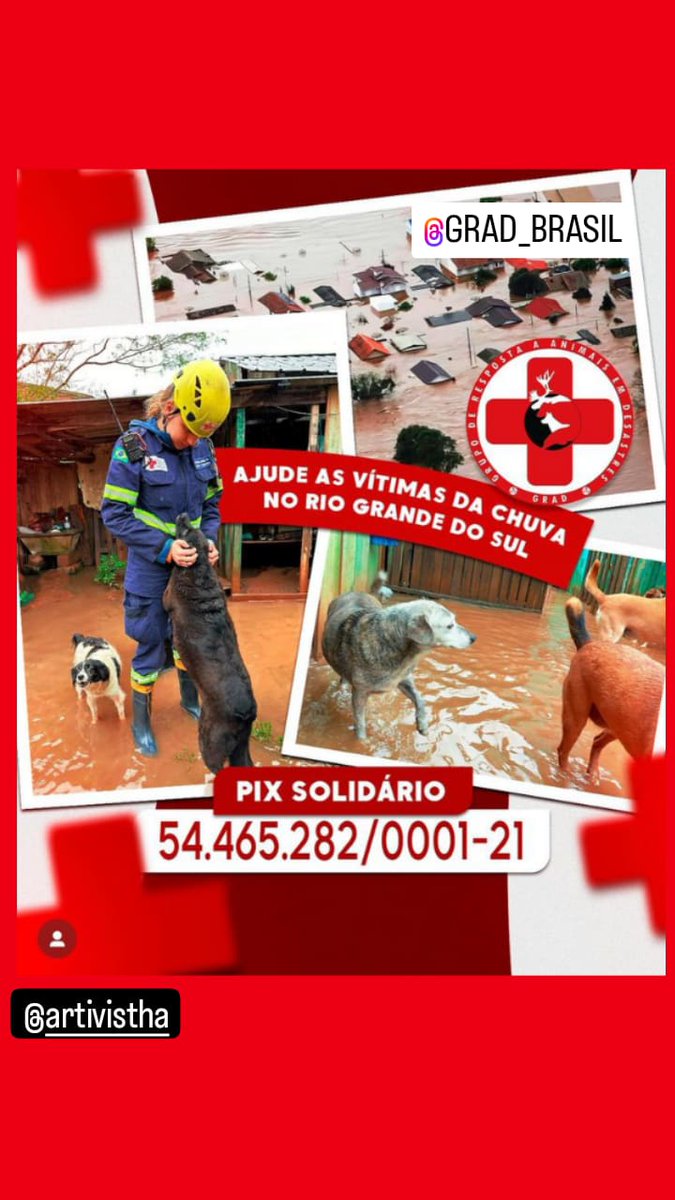 @infoambiental 🆘🐾🦜🐎 @grad_brasil
Resgate de animais