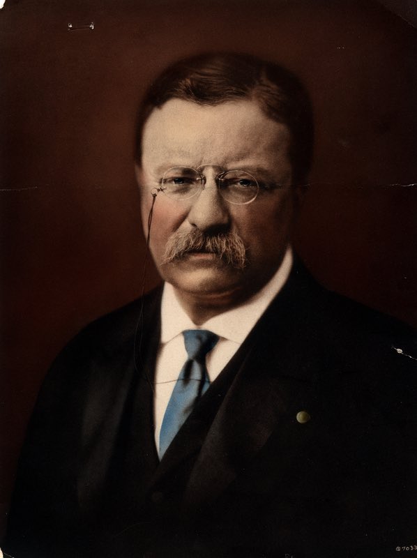 The most famous #DutchReformed American is Theodore Roosevelt