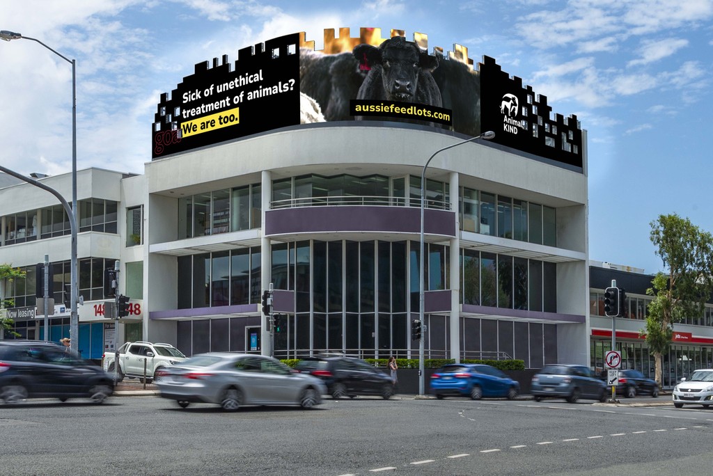 If you are out and about in Brisbane or Toowoomba this week, keep an eye out for our powerful billboards. They will be displayed to shine a light on Aussie Feedlots for the next 4 weeks.

Don't forget to check out and share the website too - aussiefeedlots.com