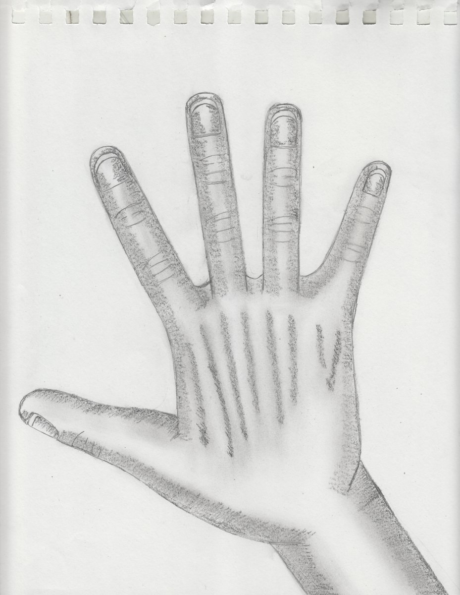 Hand Pencil Sketch #53 (05-06-2024) #scottsnider #scottmichaelsnider #art #fanart #pencilsketch #sketch #pencil #hand #hands #handsketch #handart #scott #snider #malton #toronto #torontoartist #maltonartist