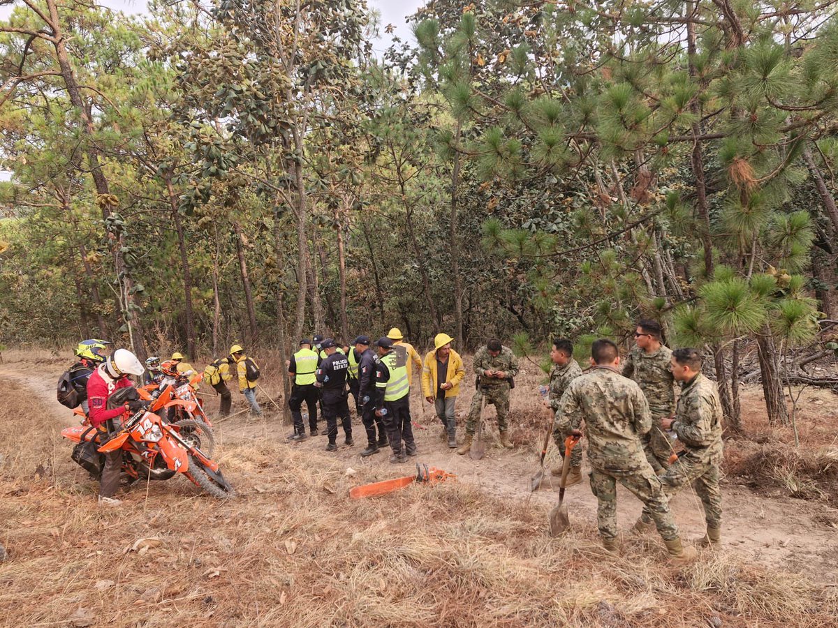 Labores por parte de la #SSEdoméx, la @SEMAR_mx, la @CONAFOR, la @Probosque_, la Policía Municipal, Bomberos de Colorines, Protección Civil Municipal y la Brigada de Colonos de la Montaña permitieron sofocar un #Incendio en #ValleDeBravo. El siniestro se originó alrededor de las