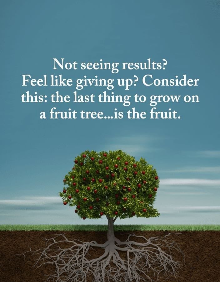 Not seeing results? Feel like giving up? Consider this: the last thing to grow on a tree is            ………. the fruit 😊 Don’t you give up
#Motivation
#MotivationalQuote
#SelfLove
#Compassion
#BeKindToYourself
#InspirationalQuote
#LoveYourselfFirst
#PositiveVibes
#Inspiration