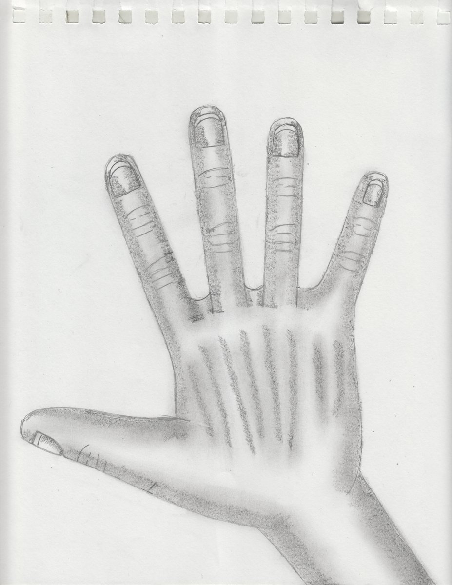 Hand Pencil Sketch #52 (05-06-2024) #scottsnider #scottmichaelsnider #art #fanart #pencilsketch #sketch #pencil #hand #hands #handsketch #handart #scott #snider #malton #toronto #torontoartist #maltonartist