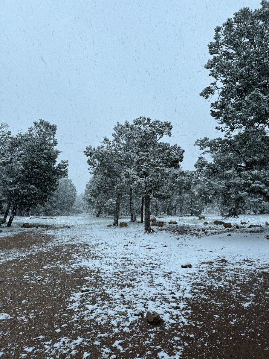 Gordon Oz Osinski tweet media